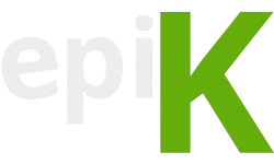 epikwebagency.com